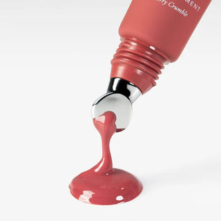 Anfisa Skin ÂN-GLOSS Ceramide Lip Tint in Berry Crumble, product tube.